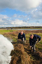 Volunteer work party undertaking reed and vegetation management, Vange Marsh RSPB reserve, Essex, England, UK, November. Model released.