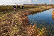 Volunteer work party walking alongside drainage ditch, Vange Marshes RSPB reserve, Essex, England, UK, November. Model released.