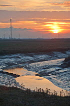 Landscape view of saltmarshes at West Canvey Marshes RSPB reserve, with industrial buildings in the distance, Essex, England, UK, November