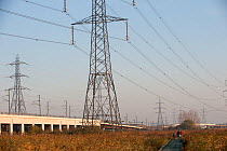 People walking at Rainham Marshes RSPB reserve, with pylons and power lines above, Essex, England, UK, November.