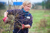Young volunteer clearing scrub, RSPB Vange Marshes reserve, Basildon, Essex, England, UK, November 2011.