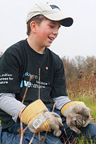 Young volunteer clearing scrub, RSPB Vange Marshes reserve, Basildon, Essex, England, UK, November 2011. Model released.