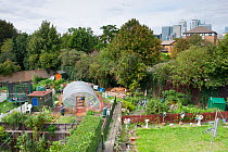 View over community garden at Thermoplyae Gate, London, England, UK, August