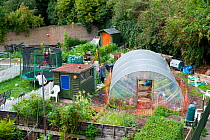 People playing and working near to community garden at Thermoplyae Gate, London, England, UK, August