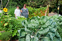 People in community vegetable garden at Thermoplyae Gate, London, England, UK, August, 2011