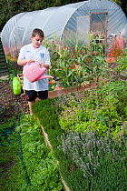 Boy watering herb bed in Community Garden at Thermoplyae Gate, London, England, UK, August, 2011