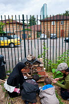 Family constructing a bug house, designed to encourage insects / wildlife, Evelyn Community Gardens, Deptford, London, England, UK, August 2011. Model released.