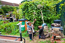 Children waving Umbellifer stems in the air, Evelyn Community Gardens, Deptford, London, England, UK, August 2011.