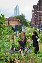People working and looking around in Evelyn Community Gardens, Deptford, London, England, UK, August 2011. Model released.