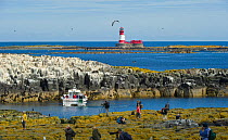 Tourists and photographers on Staple Island with Longstone Island and lighthouse in background, Farne Islands, Northumberland, June 2011.