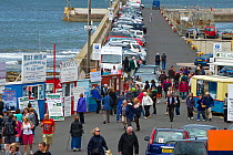 Tourists at boat tour trip huts in Seahouses Harbour, Northumberland, July 2011.