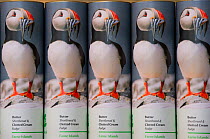 Puffin (Fratercula arctica) souvenirs biscuits and fudge for sale in National Trust shop in Seahouses, Northumberland, August 2011.