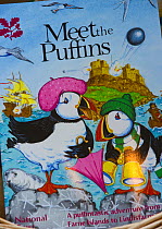 Puffin (Fratercula arctica) souvenirs for sale in National Trust shop in Seahouses, Northumberland, August 2011.