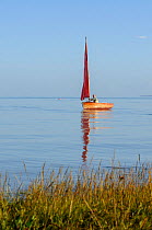 Small traditional sailing boat on the Thames Estuary, Two Tree Island, Essex, England, UK, October.