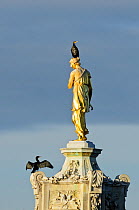 Two Common comorants (Phalocrocorax carbo) perched on statue drying out, Bushy Park, London, England, UK, November.