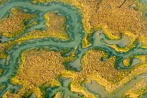 Water channels making patterns in saltmarsh, seen from the air. Abbotts Hall Farm, Essex, UK, April 2012.
