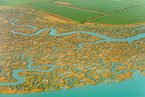 Saltmarsh and reclaimed agricultural land from the air. Abbotts Hall Farm, Essex, UK, March 2012.