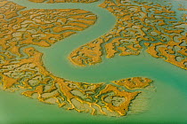 Water channels making patterns in saltmarsh, seen from the air. Abbotts Hall Farm, Essex, UK, April 2012. Did you know? Salt marshes are a great natural defence against sea level rise.