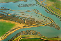 Remnant saltmarsh and coastal realignment at Abbotts Hall Farm, Essex, UK, March 2012. Did you know? 24% of the English coastline is saltmarsh.