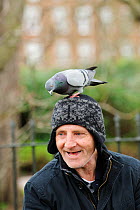 Man with Feral pigeon (Columba livia) perched on his head, Regents Park, London, England, UK, February