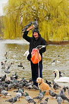 Man with dog feeding Feral pigeons (Columba livia), with some perched on his head, Regents Park, London, England, UK, February