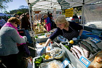 Fresh fish being sold in Oystermouth food market, part of Swansea City Council's commitment to Agenda 21, Swansea, April 2009.