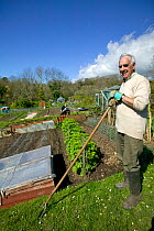 Man cultivating community allotments, part of local authority production of sustainable food, Agenda 21, April 2009. No release available.