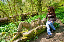 Woman who is an Asylum Seeker sitting on log, looking at woodland sculpture and learning about the nature in spring woodland, Wales, April 2009.