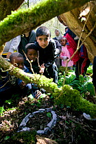 Asylum seeker children playing nature education games in spring woodland, Wales, April 2009.