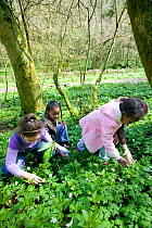 Asylum seeker children enjoying wildflowers in spring woodland, Wales, April, 2009.