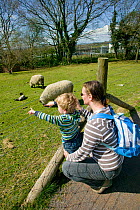 Mother with young child enjoying spring lambs and ewe in community city farm
