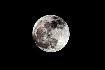 The 'Perigree Super-moon'. A supermoon is the coincidence of a full moon with the closest approach the Moon makes to the Earth on its elliptical orbitis resulting in it appearing up to 14% larger and...