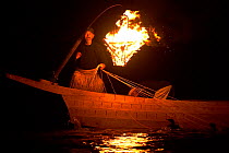 'Ukai', a traditional (1300 year old) night fishing method in which an 'usho' Cormorant Fishing Master and 'u' Great cormorant (Phalacrocorax carbo hannedae) work together to fish by the flames of 'Ka...