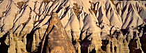 Fairy chimneys / Hoodoo rock formations the Goreme valley, near Goreme, Capadokkia, Turkey, July 2006