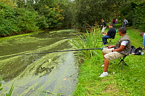 Young boys fishing in a pond, Grande-Synthe, Dunkirk, France, September 2010