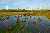 Wetlands with industrial towers in the distance, Grande-Synthe, Dunkirk, France, September 2010