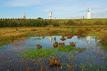 Wetlands with industrial towers in the distance, Grande-Synthe, Dunkirk, France, September 2010