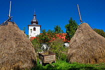 Traditional hay stacks in field with the church of Nova Sedlica behind, Slovakia, September 2011