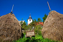 Two traditional hay stacks with the church of Nova Sedlica in the distance, Slovakia, September 2011