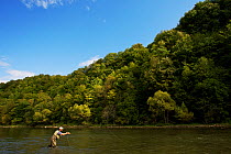 Man casting across the San River, Myczkowce, Poland, September 2011 Model released