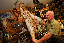 Man displaying the fur of a Eurasian lynx (Lynx lynx) in his small museum, shot in 1975 when it was still legal, Brzegi Dolne, Poland, September 2011, model released