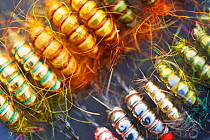 Flybox with colourful patterns imitating various gammarus species, Bachlawa, San River, Poland, September 2011