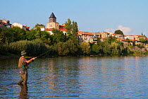 Man casting his fly out onto the river Allier, Pont-du-Chateau, France, August 2010, model released