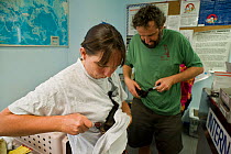 Spectacled flying fox (Pteropus conspicillatus) babies arrive by plane from Brisbane after months of care ready to be returned to the Tolga Bat Hospital for release back to the wild, volunteers make s...
