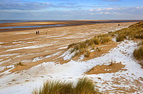 Holkham Beach in winter with dog walkers, Norfolk, UK, 2012.