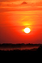 Sunset over Three Lakes State Park, east coast of Central Florida, USA, April