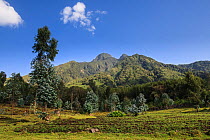 Volcano Sabyinyo, Sabyingo means Teeth in kinyarwanda the local language, Volcanoes National Park, Ruhengeri, Rwanda, elevation 2300m