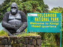 Volcanoes National Park entrance sign with gorilla model, Kinigi Head Quarter where all Gorillas watching treks start from,  elevation 2300m, Rwanda
