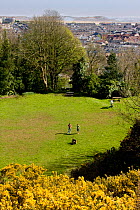 Rosehill Community Park with visitors, important greenspace in an urban environment, Swansea, Wales, UK 2009