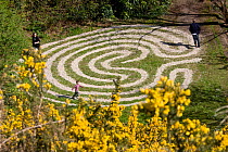 Maze, made out of cockle shells, in Rosehall Quarry Community Park, Swansea 2009